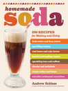 Cover image for Homemade Soda